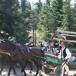 U Ewki * Rdzawka