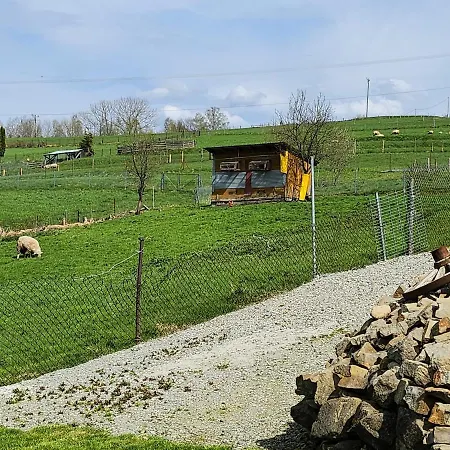 U Ewki Apartman Rdzawka