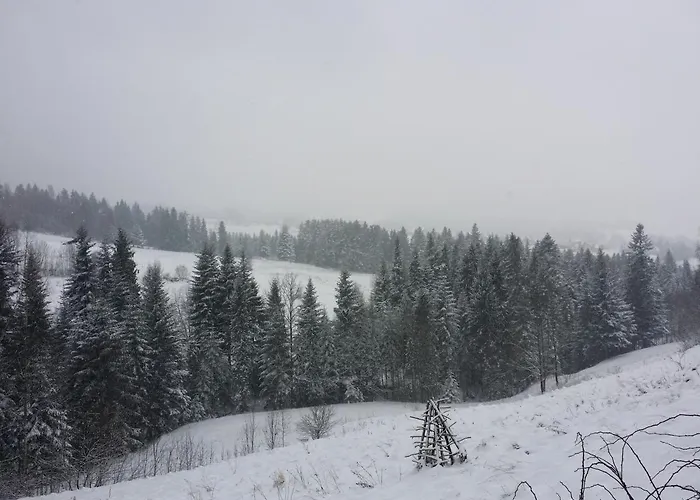 Appartement U Ewki *