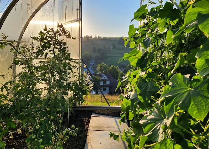 U Ewki Appartement Rdzawka